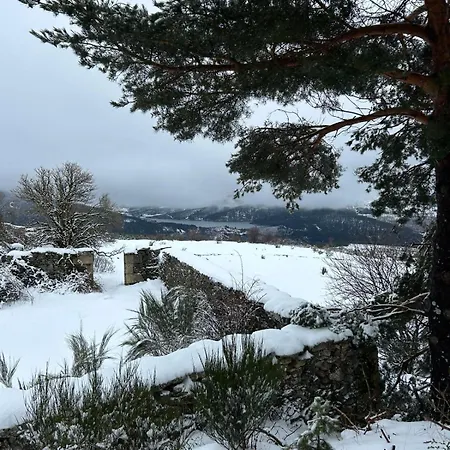 Rurales Olivos En Candelario